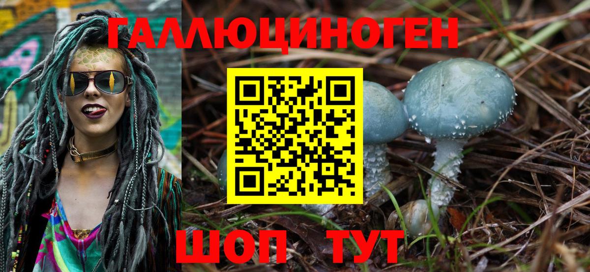 как найти   Псилоцибиновые грибы Magic Shrooms  Вход с VPN  Северобайкальск 